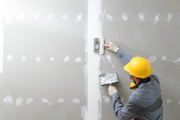 Mold Odor Removal Services in Raleigh Hills, OR