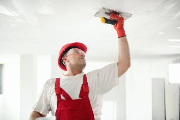 Best Biohazard Mold Removal  in Raleigh Hills, OR