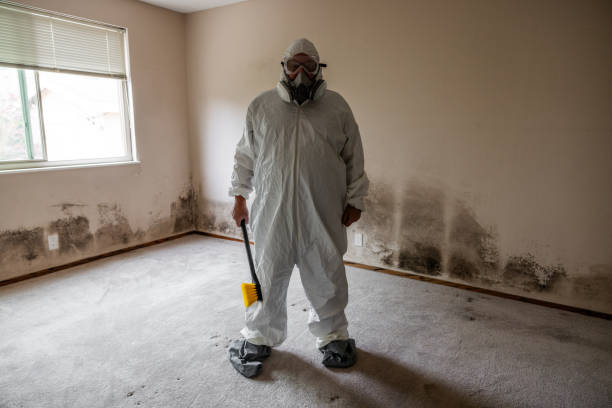 Best Airborne Mold Testing  in Raleigh Hills, OR