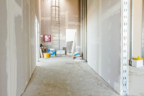 Best Attic Mold Removal  in Raleigh Hills, OR