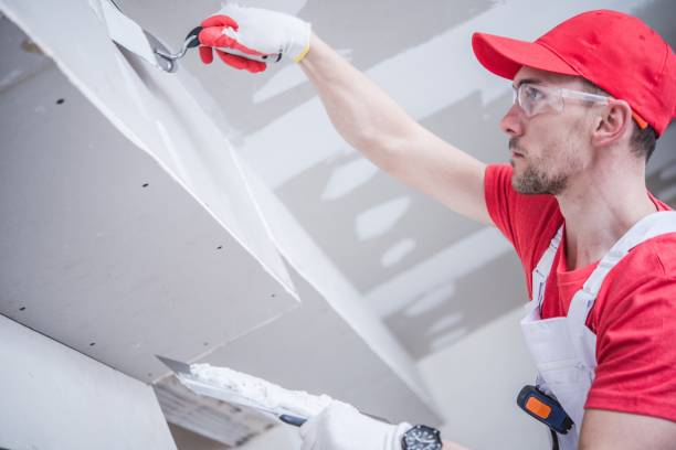 Best Mold Removal for HVAC Installations  in Raleigh Hills, OR